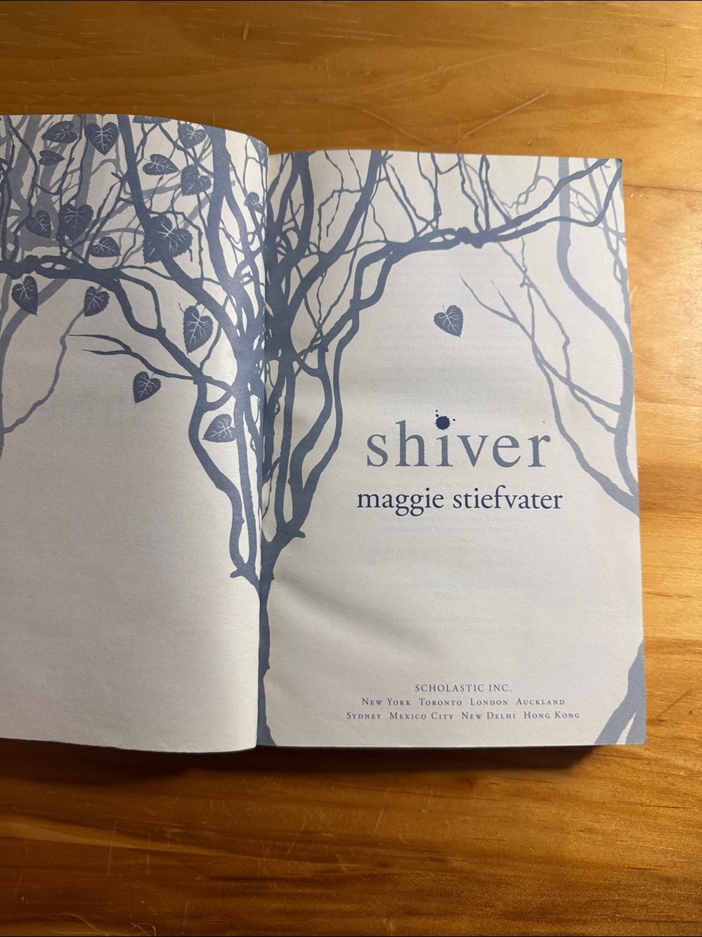 📚2/$6 Shiver #1 in The Wolves of Mercy Falls Series - Picture 7 of 12